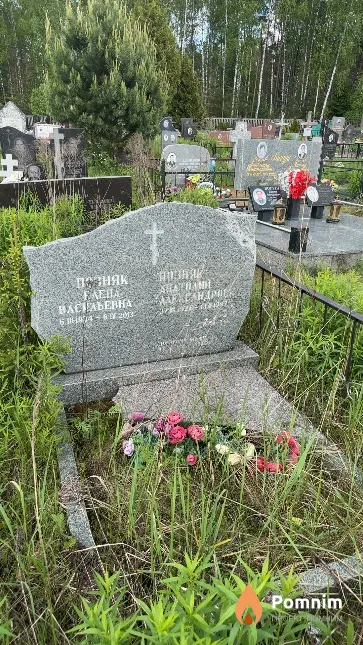 Позняк Анатолий Александрович