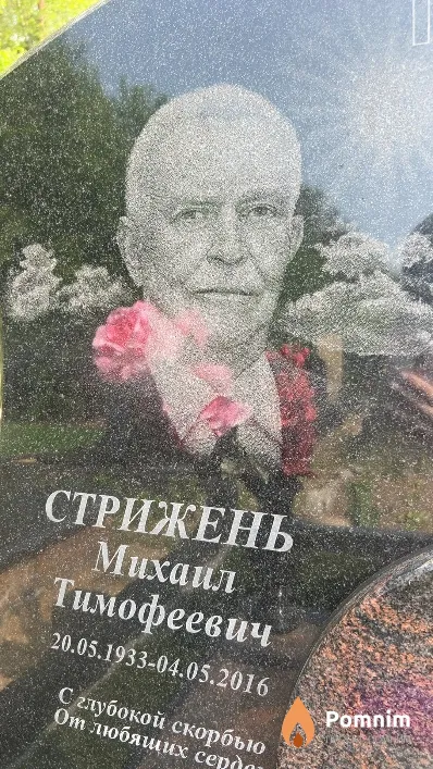 Стрижень Михаил Тимофеевич