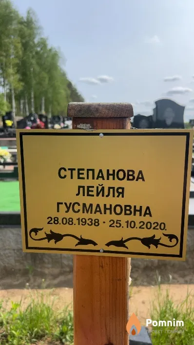 Степанова Лейля Гусмановна