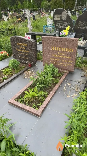 Яценко Алла Афанасьевна