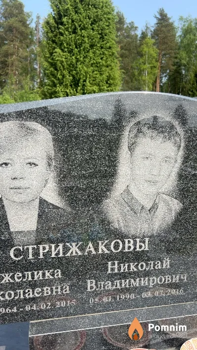 Стрижаков Николай Владимирович