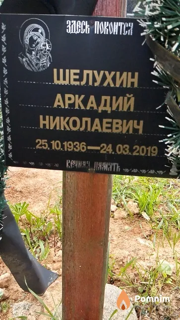 Шелухин Аркадий Николаевич