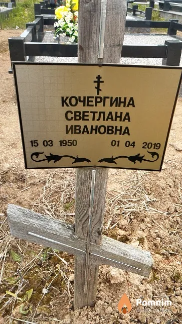 Кочергина Светлана Ивановна