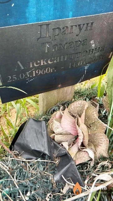 Драгун Тамара Александровна