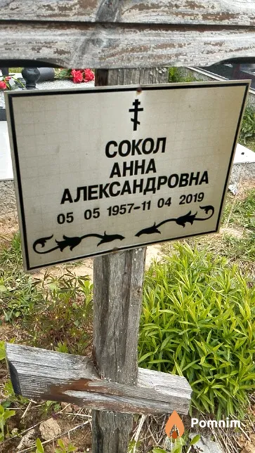 Сокол Анна Александровна