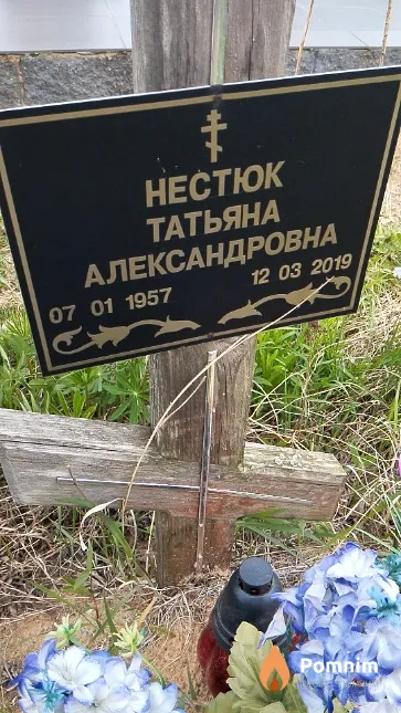 Нестюк Татьяна Александровна