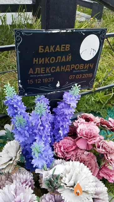 Бакаев Николай Александрович