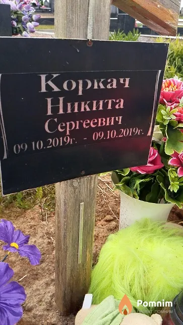 Коркач Никита Сергеевич