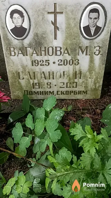 Ваганов Н. А.