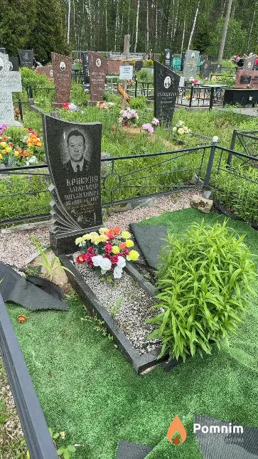 Крисеня Александр Михайлович