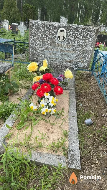 Новиков Виталий Иванович