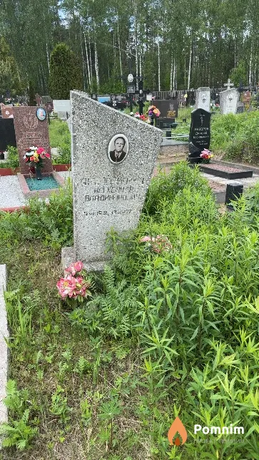 Амельянович Александр Владимирович