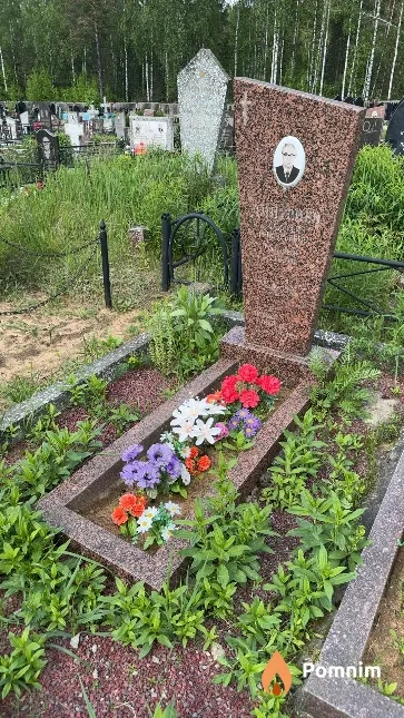 Дмитриев Алексей Григорьевич
