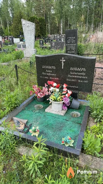 Бобырь Александр Милентьевич