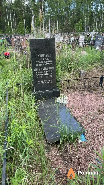 Гуфельд Исаак Евсеевич