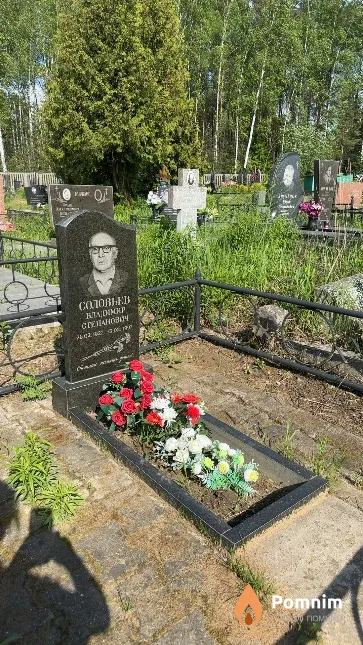 Соловьев Владимир Степанович