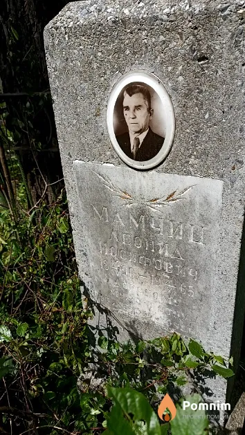 Мамчиц Леонид Иосифович