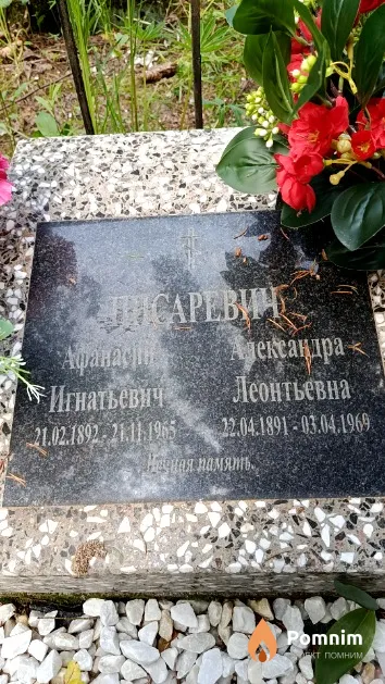 Писаревич Афанасий Игнатьевич