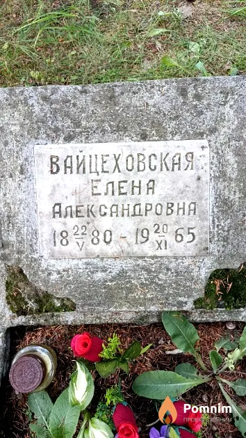 Вайцеховская Елена Александровна