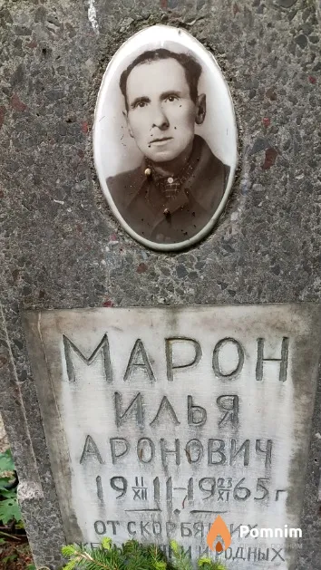 Марон Илья Аронович