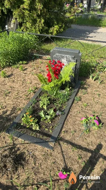 Балакис Дмитрий Алексеевич