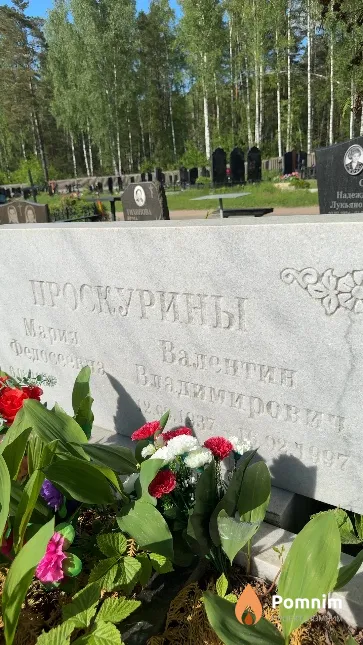 Проскурин Валентин Владимирович