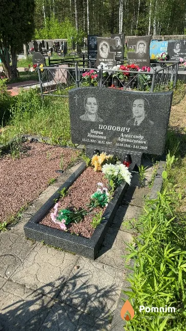 Попович Александр Афанасьевич