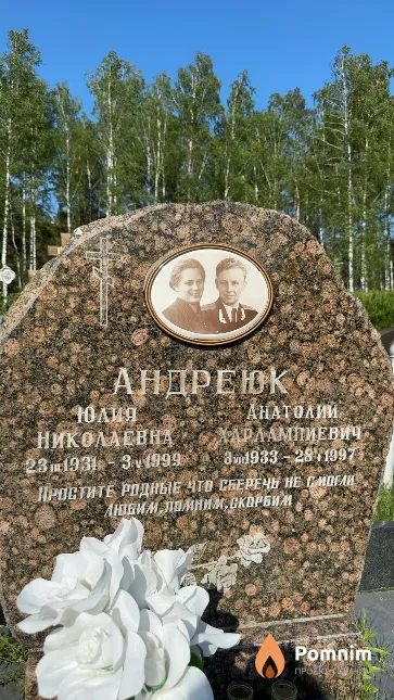 Андреюк Юлия Николаевна