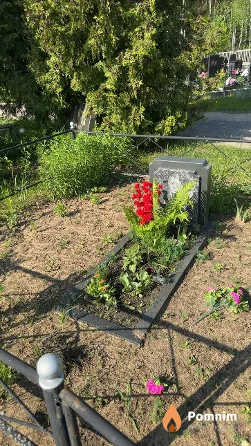 Балакис Дмитрий Алексеевич