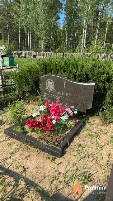 Зоров Виктор Александрович