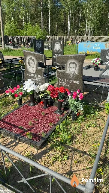 Матюшенок Виктор Яковлевич