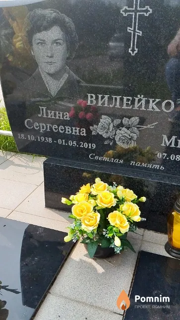Вилейко Лина Сергеевна