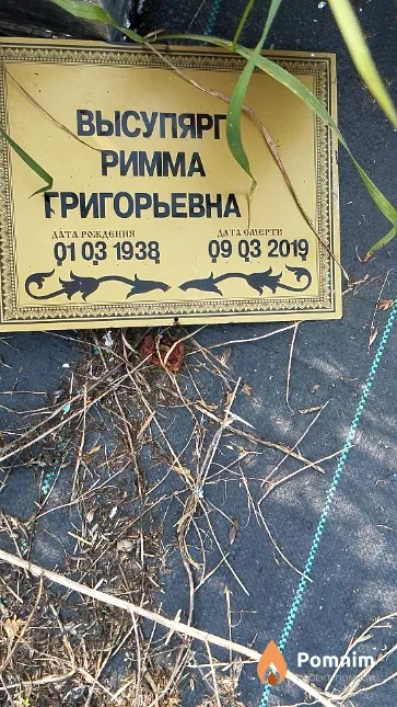 Высупярг Римма Григорьевна