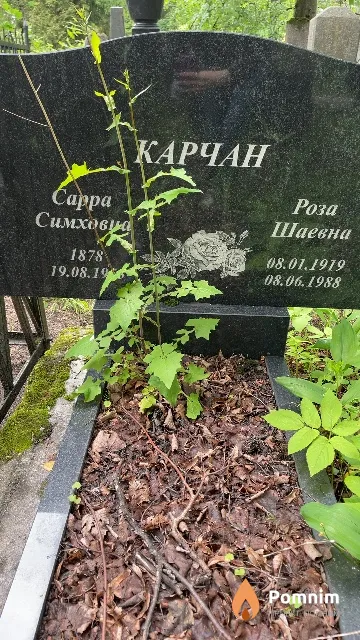 Карчан Cappa Симховна