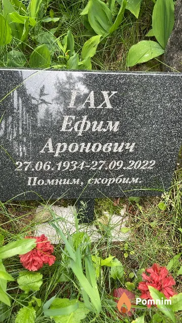 Гах Ефим Аронович