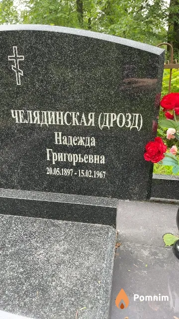 Челядинская (Дрозд) Надежда Григорьевна