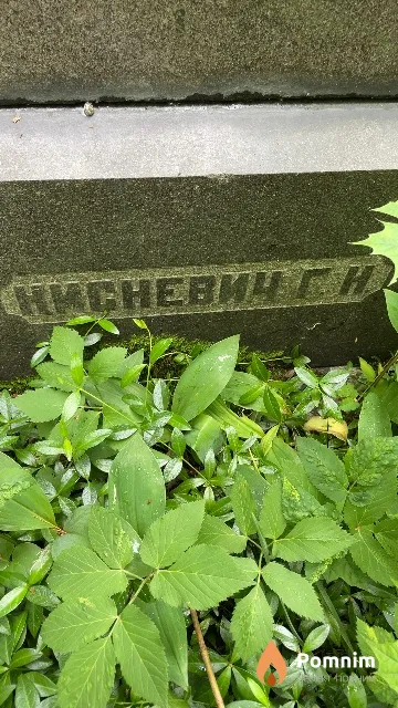 Нисневич Г. Н.