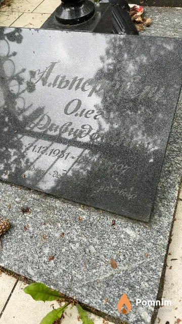 Альперович Олег Давидович