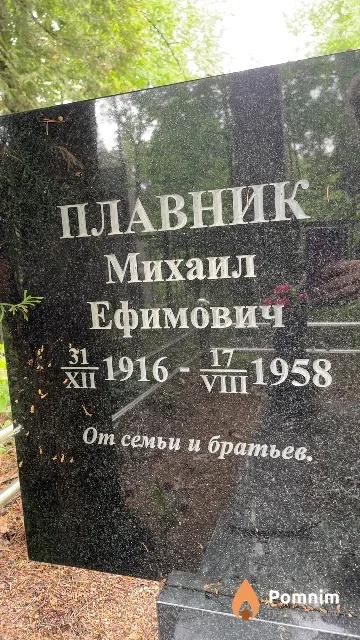 Плавник Михаил Ефимович