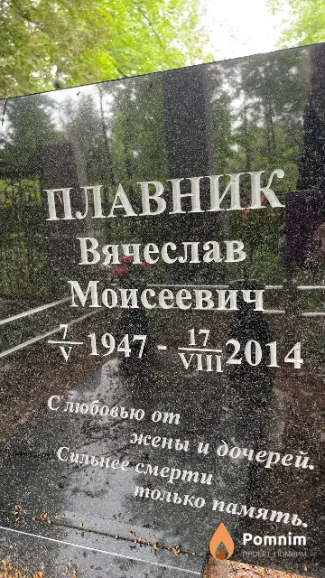 Плавник Вячеслав Моисеевич