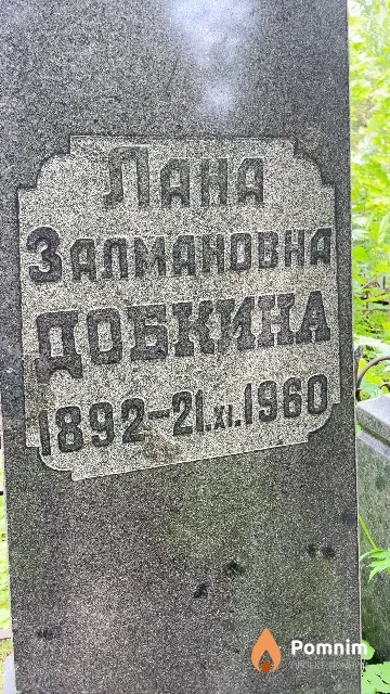 Добкина Лана Залмановна