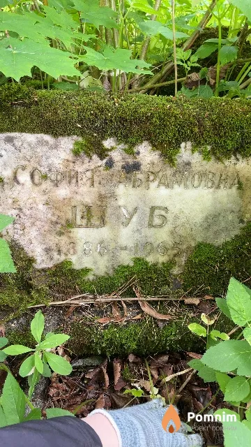 Шуб София Абрамовна