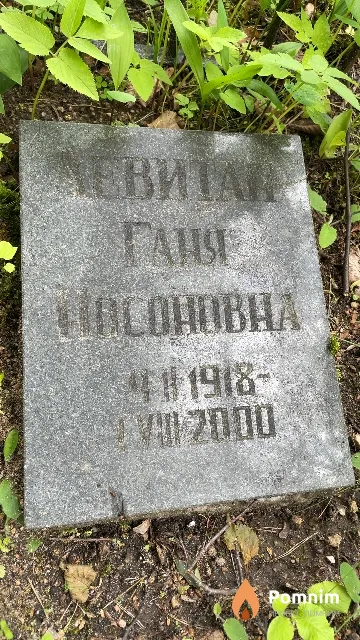 Левитан Ганя Носовна