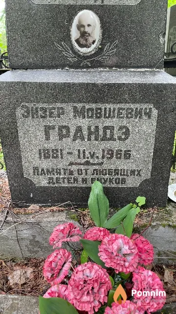 Грандэ Эйзер Мовшевич
