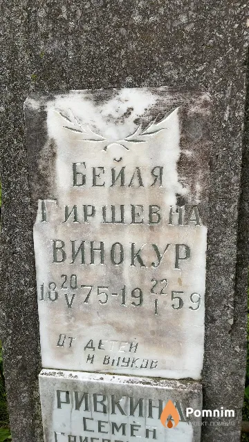 Винокур Бейля Гиршевна