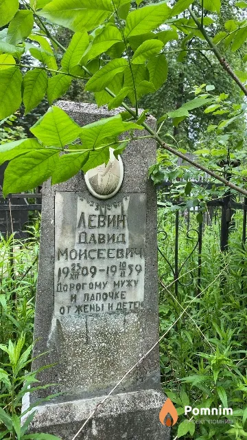 Левин Давид Моисеевич