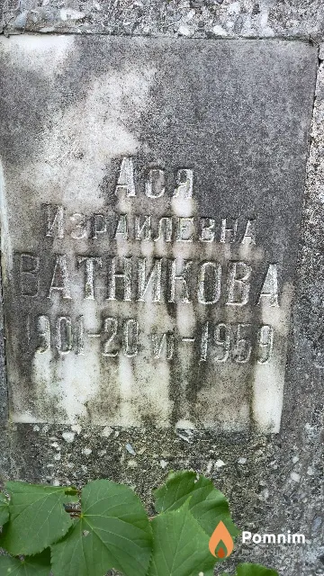 Ватникова Ася Израилевна