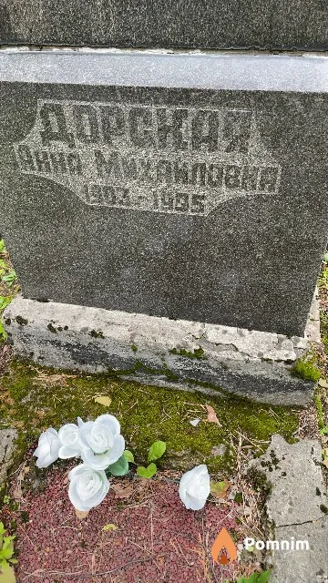 Дорская Анна Михайловна