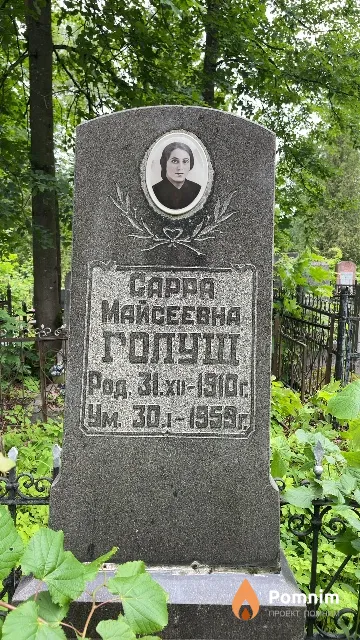 Голуш Cappa Майсеевна