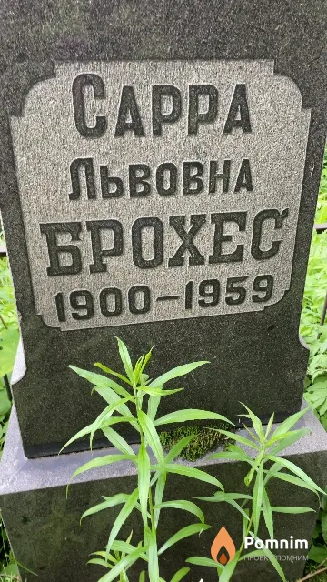 Брохес Cappa Львовна